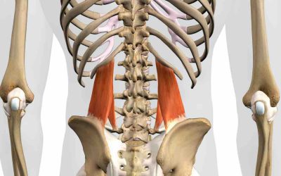 Beneficios y ejercicios del cuadrado lumbar: guía completa