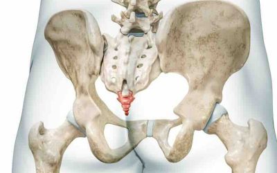 Coccigodinia: Qué es, síntomas y tratamiento