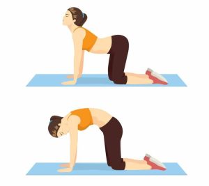 En la parte superior, el ejercicio de vaca; en la parte inferior, el ejercicio de gato