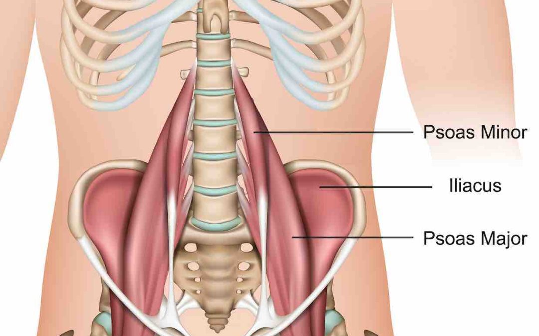 Psoas iliaco: El músculo clave para prevenir lesiones y mejorar el rendimiento